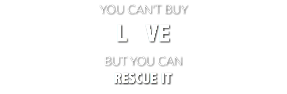 YOU CAN'T BUY L VE BUT YOU CAN RESCUE IT
